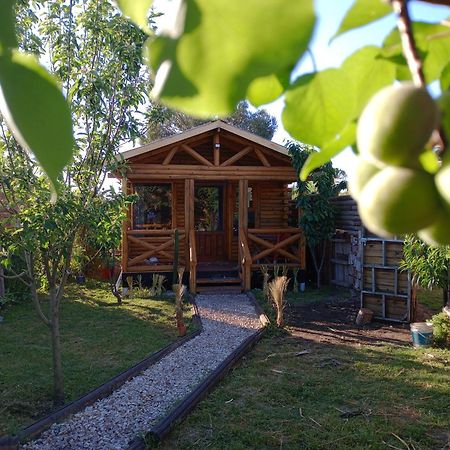 Foresta Acantilados, Casa Container Y Cabana De Troncos Mar del Plata Eksteriør bilde